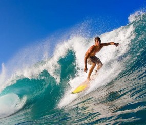 开云体育在线-世界杯之夜，阿劳霍的冠军级表现如何点亮美加墨