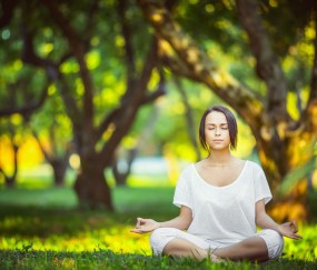 开云官方平台-一瞬定乾坤，威廉姆斯绝杀红牛二队的背后，维斯塔潘的关键制胜密码