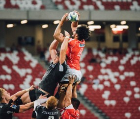 开云体育下载-赛道上的双重奏，雷诺险胜索伯，汉密尔顿的孤独统治