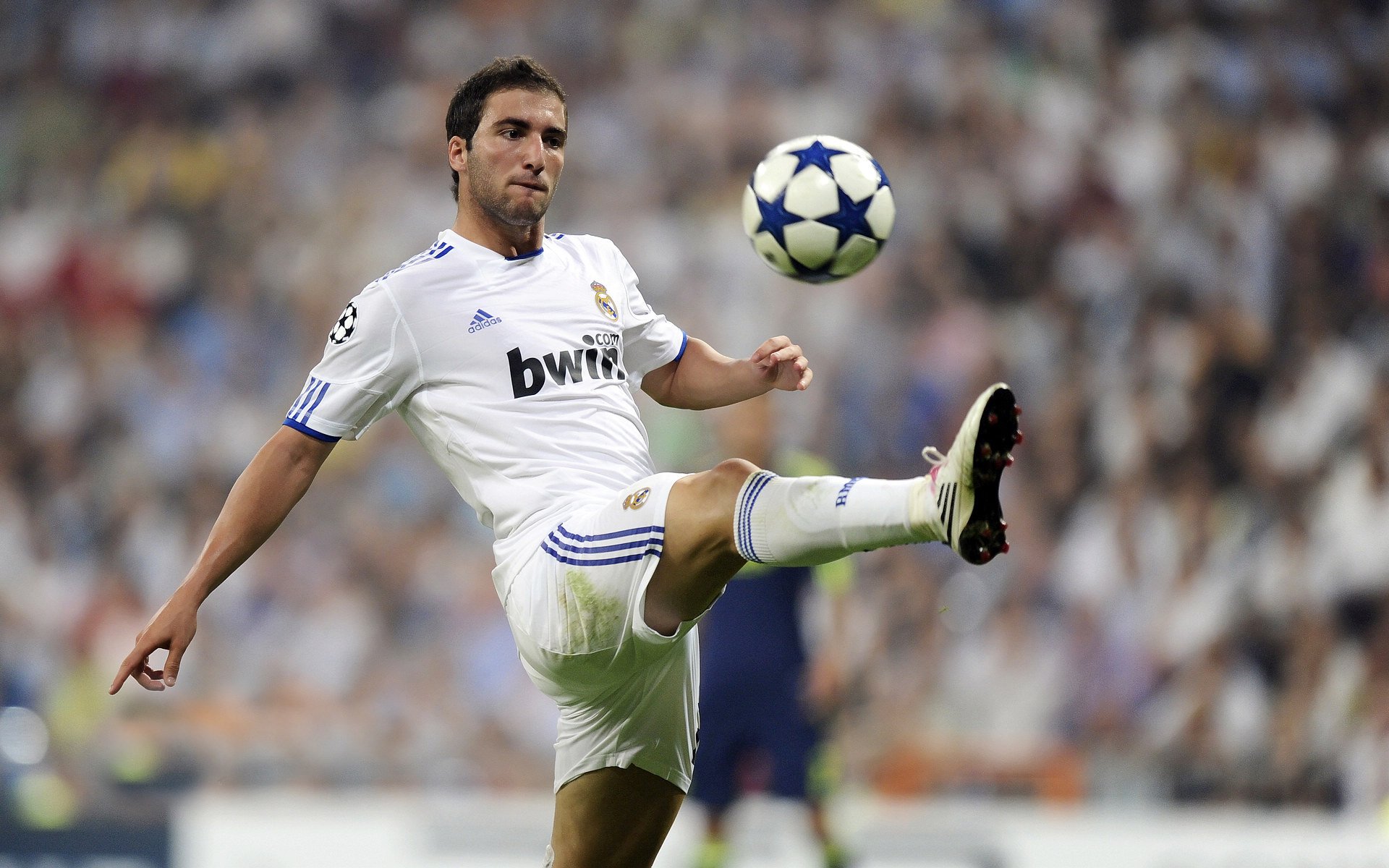 世界排名争夺战焦点战,伊朗封锁战术如何遏制阿尔及利亚攻势